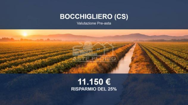 Immobile in asta di 9300 m² in vendita a Bocchigliero