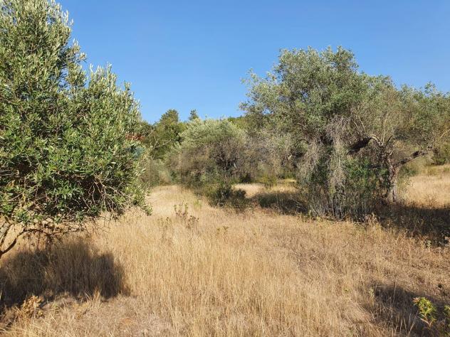 Terreno in vendita a Caltagirone, Santo Pietro - Foto 7
