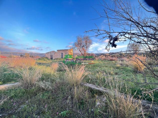 TERRENO CON ACCATASTAMENTI RURALI - Foto 5