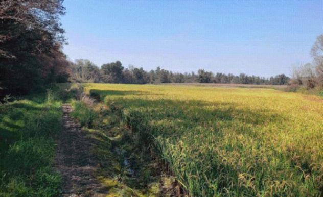 Immobile in asta di 54 m² in vendita a Ozzero - Foto 9