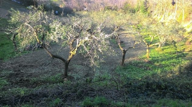 Terreno edificabile a Silvi - Foto 2