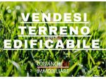 V000667 - FONDOTOCE , TERRENO EDIFICABILE