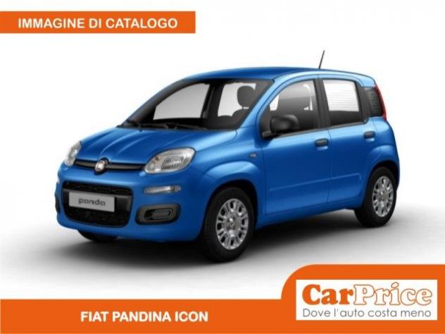 FIAT Pandina 1.0 FireFly 65CV Hybrid Icon rif. 23983808