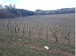 Colonica in vendita a Murlo 800 mq  Rif: 671269