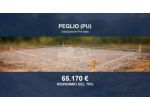 Immobile in asta di 48086 m² in vendita a Peglio