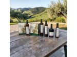 Olio extravergine di oliva biologico 100% siciliano
