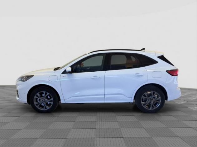 FORD Kuga Kuga 2.5 Plug In Hybrid 225 CV CVT 2WD ST-Line rif. 23647040 - Foto 2