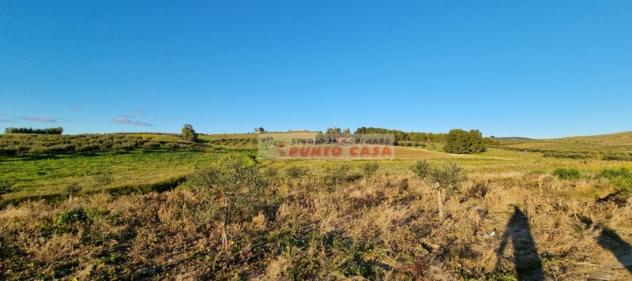NAPOLA – Terreno di 23.000 mq ca. Euro 68 MILA - Foto 3