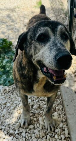 UGO 12 ANNI - Foto 3