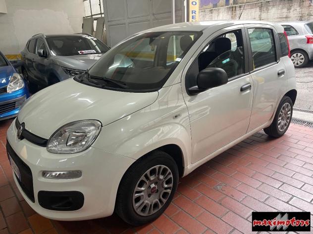 FIAT - Panda - 1.2 Easy