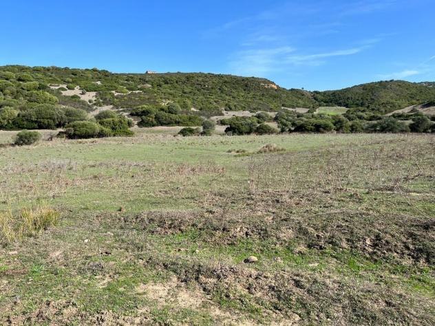 Casale in vendita a Vignola Mare - Aglientu 83000 mq Rif: 1395911 - Foto 6