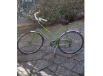 Bicicletta da città