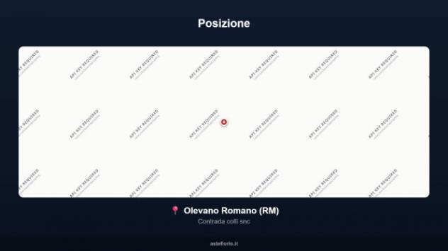 Immobile in asta di 990 m² con più di 5 locali in vendita a Olevano Romano - Foto 4