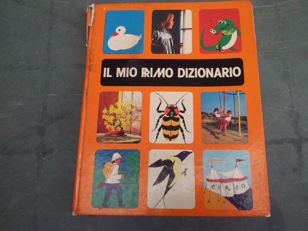 R53 - IL MIO PRIMO DIZIONARIO