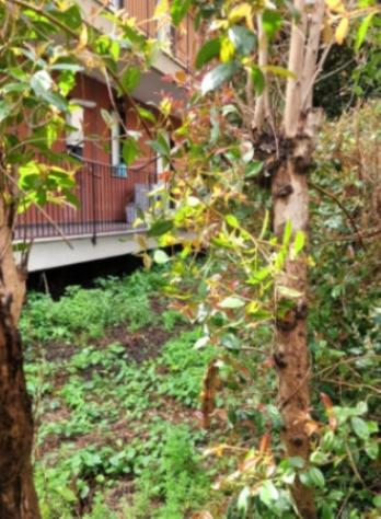 Immobile in asta di 98 m² in vendita a Giarre - Foto 2