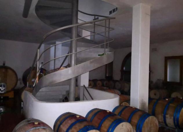 Immobile in asta di 614733 m² in vendita a Murlo - Foto 6