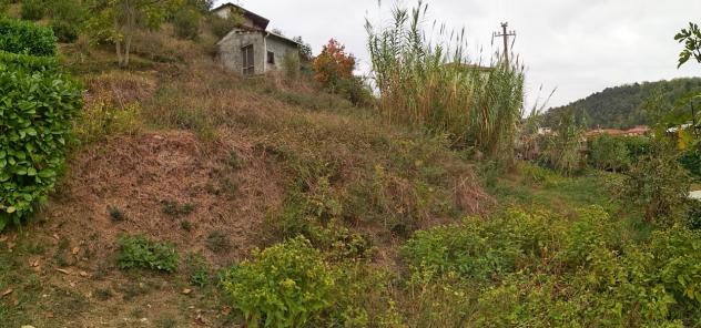 Vigneto in vendita a Vezzano Ligure - Foto 5