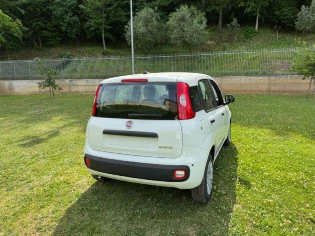 FIAT Pandina 1.0 FireFly 65cv S&S 6m Hybrid Icon - Foto 4