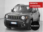 Jeep Renegade 1.6 Mjt Business