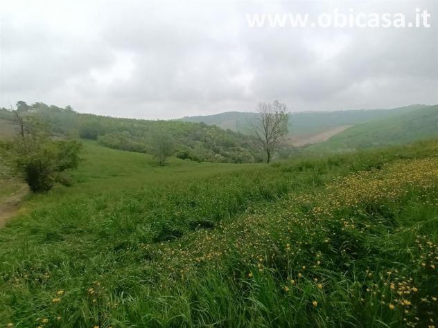 Terreno Agricolo - Rif. 825