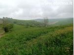 Terreno Agricolo - Rif. 825