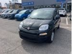 FIAT Panda 1.0 FireFly 70cv S&S Hybrid Pandina