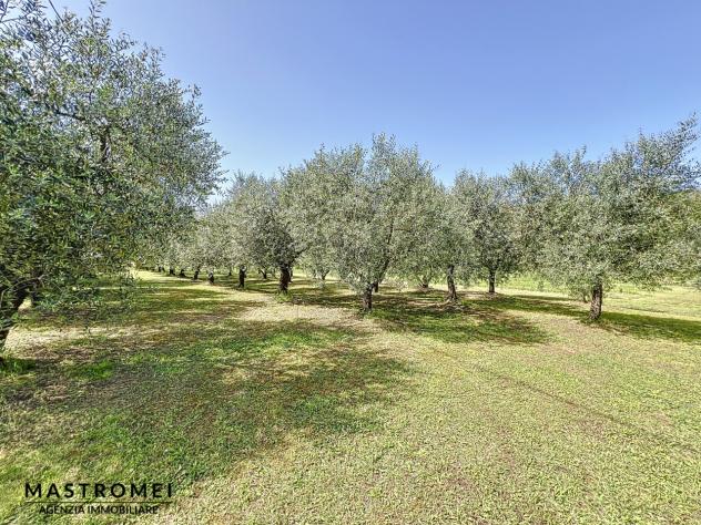 CASALE di 7 vani e di 240 mq (CASTELFRANCO DI SOTTO) rif. 3522_1 - Foto 5
