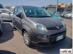FIAT - Panda  1.0 hybrid s&s 70cv 5p.ti