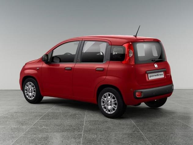 FIAT Pandina Pandina 1.0 firefly hybrid Icon s&s 65cv 5p.ti - Foto 4
