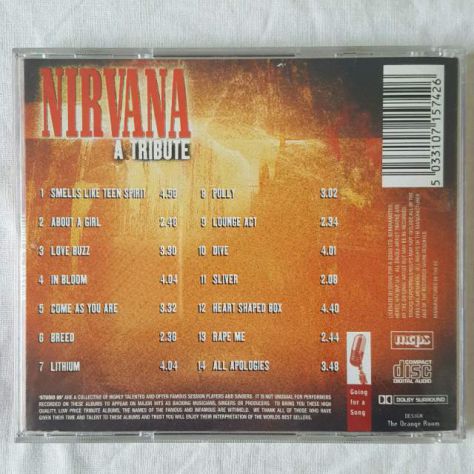 Nirvana - A Tribute - Performed By Studio 99 - Foto 2