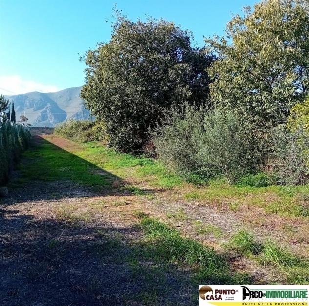 Via Galletti vendesi terreno agricolo 11.000 mq, pianeggiante - Foto 4