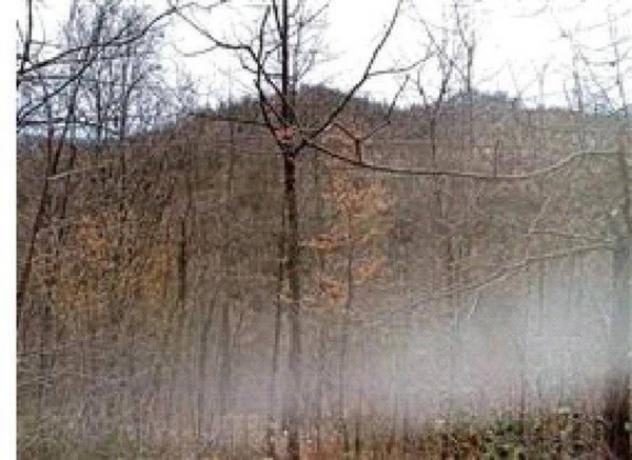 Immobile in asta di 990 m² in vendita a Apecchio - Foto 7