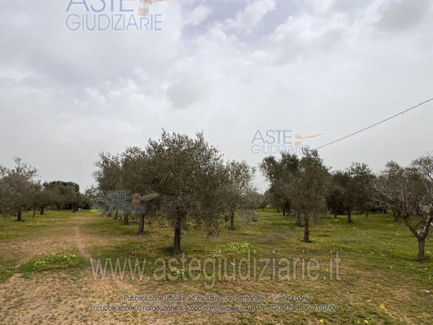IMMOBILI-IMMOBILE RESIDENZIALE-Contrada Capraro - Foto 4