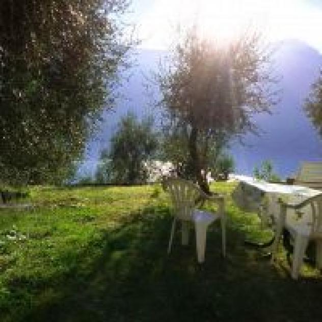 Preone
