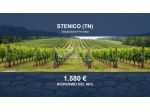 Immobile in asta di 2711 m² in vendita a Stenico