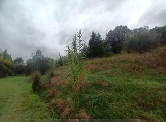 Immobile in asta di 11283 m² in vendita a Vinci - Foto 11