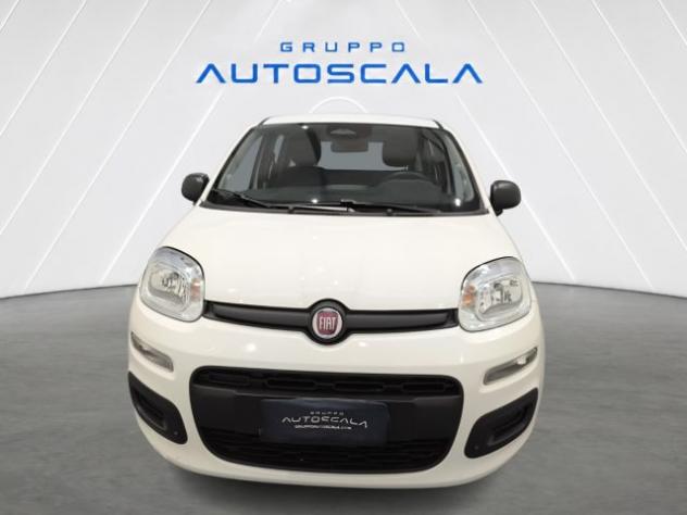 FIAT New Panda Pandina 1.0 FireFly 65 CV Hybrid Icon rif. 24157234 - Foto 2