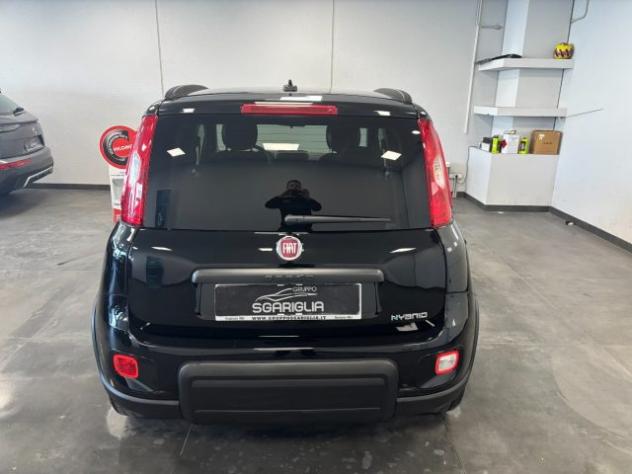 FIAT Panda 1.0 Benzina Hybrid City Life rif. 23797344 - Foto 5