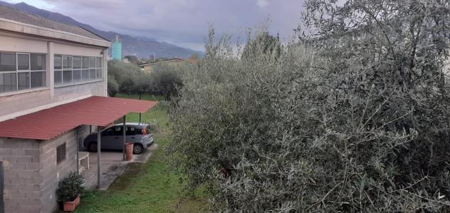 Casa singola in vendita a Massa 240 mq Rif: 1231513 - Foto 6