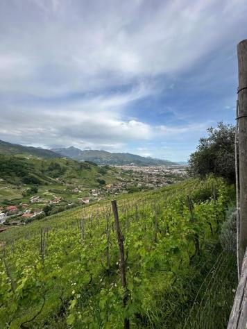 Villetta bifamiliare in vendita a Massa 280 mq Rif: 1265963
