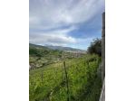 Villetta bifamiliare in vendita a Massa 280 mq  Rif: 1265963
