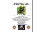 CORSO DI KUNG-FU PANDA PER BIMBE/I + RAGAZZE/I - 2026/27