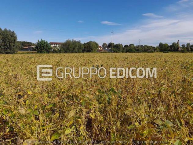 Terreno di 16800 mq in vendita a Fossalta di Portogruaro - Rif. 4551605 - Foto 8