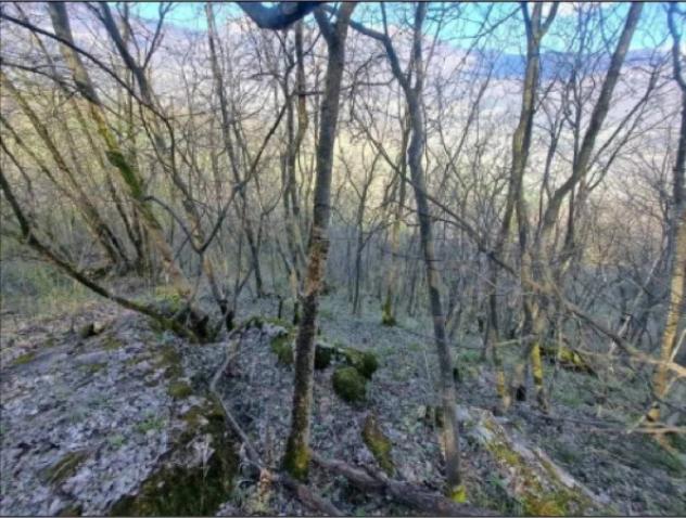 Immobile in asta di 2377 m² in vendita a Rovereto - Foto 2
