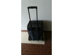 TROLLER PORTACAMPIONARIO