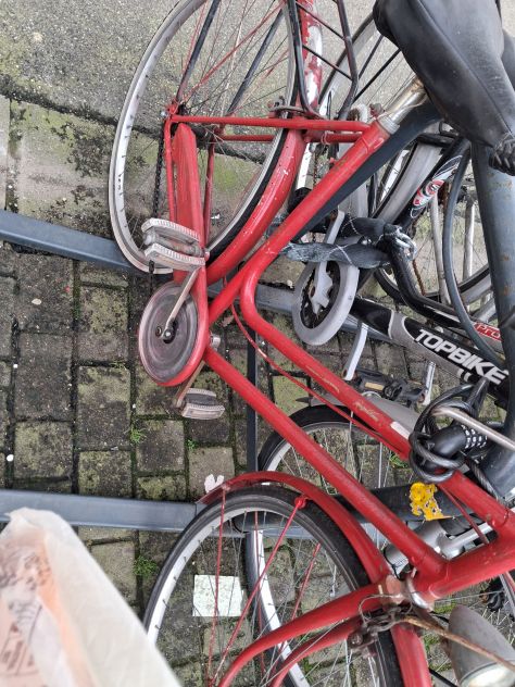 Bicicletta donna misura 26