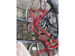 Bicicletta donna misura 26