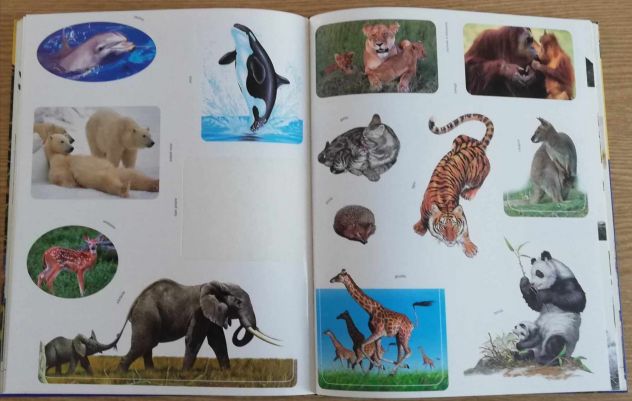Libro "Tutto per le mie ricerche, gli animali".Ho + libri per bambini e ragazzi - Foto 4