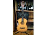 Chitarra elettrica