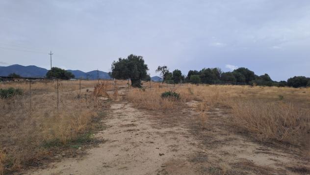 Agricolo in vendita a Quartucciu - Foto 12